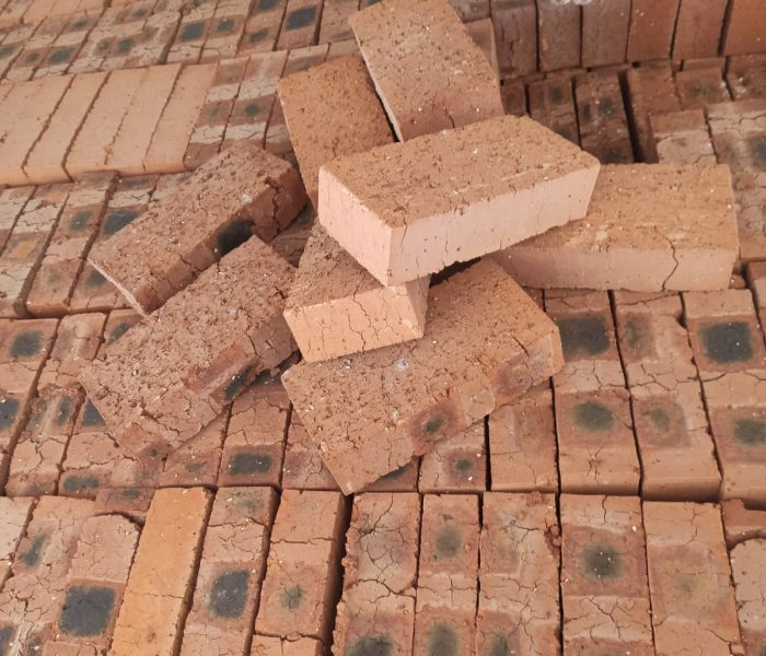 WhatsApp Image 2024-11-18 at 18.52.57 (1)